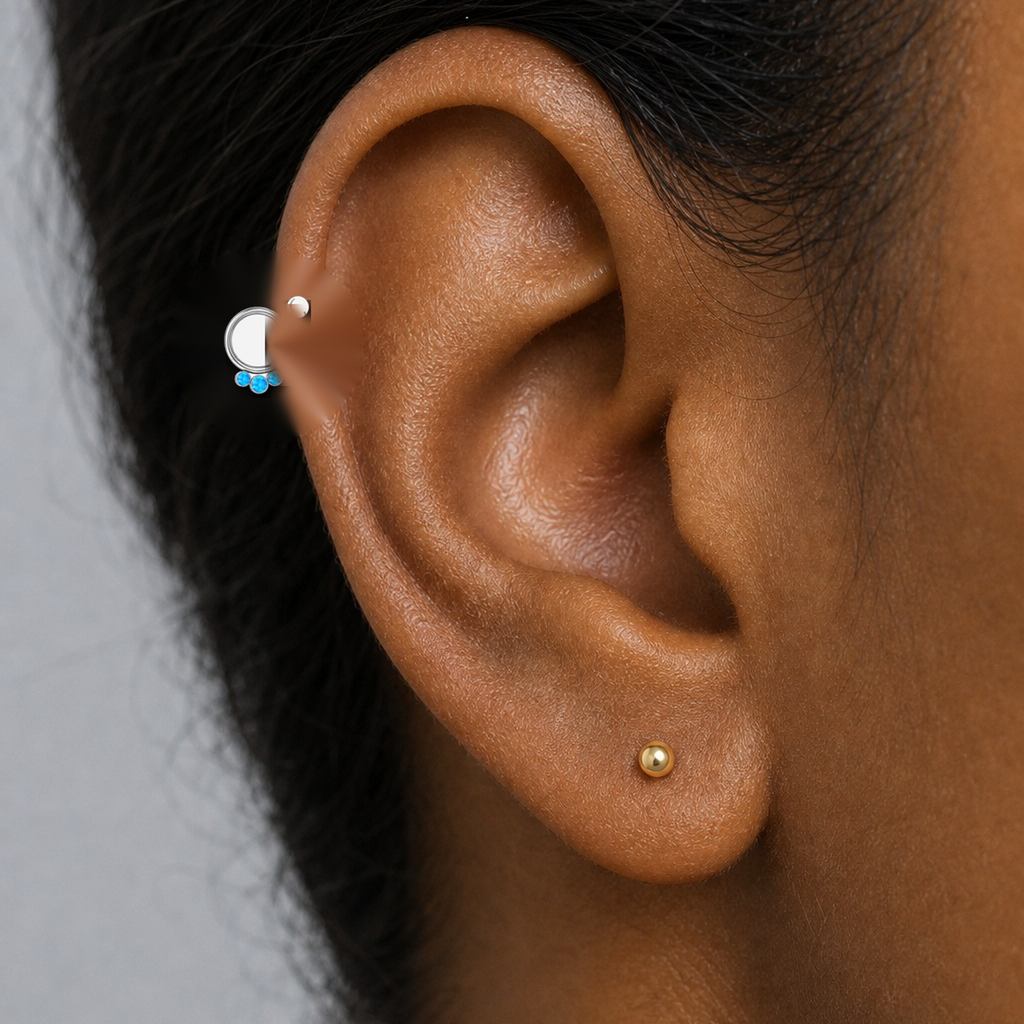 Implant Grade Titanium - Segment Ring - Silver - OP05 - 16G (1.2 x 8 mm) - model wear view