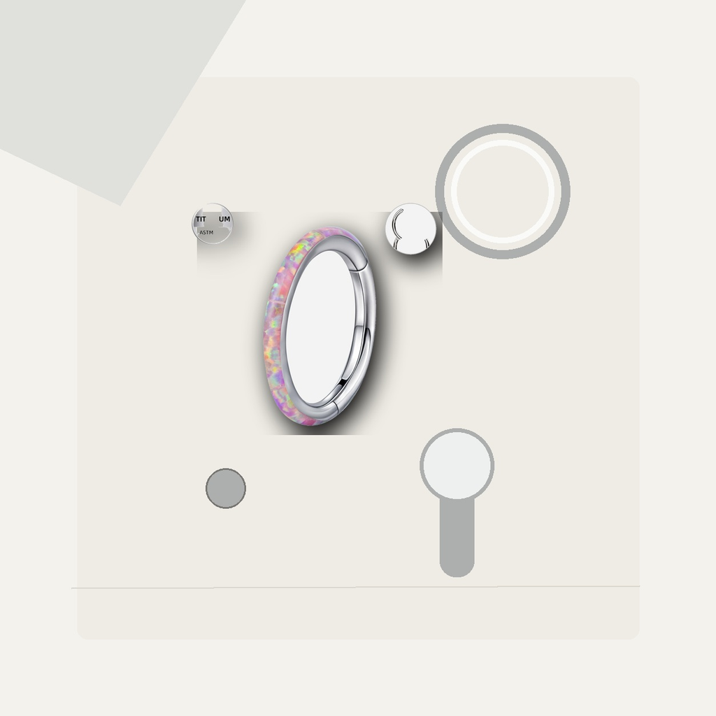 Implant Grade Titanium - Segment Ring - Silver - OP10 - 16G (1.2 x 8 mm) - styling view