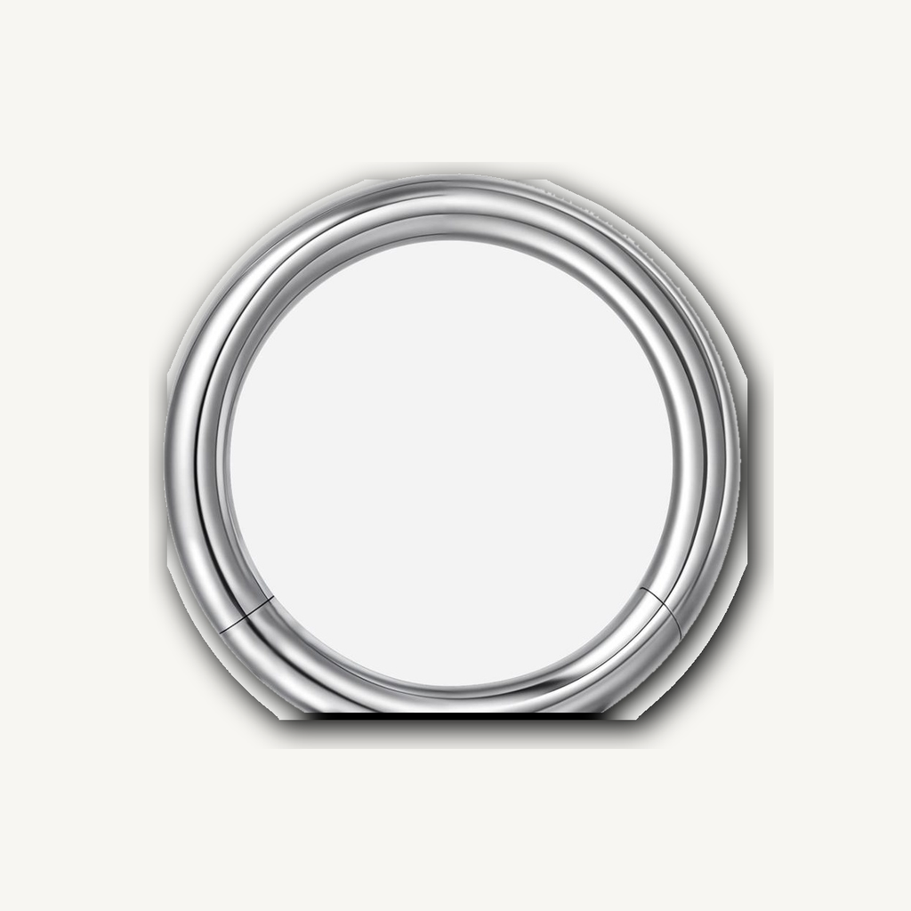 Implant Grade Titanium - Segment Ring - Silver - OP17 - 16G (1.2 x 8 mm) - detail view