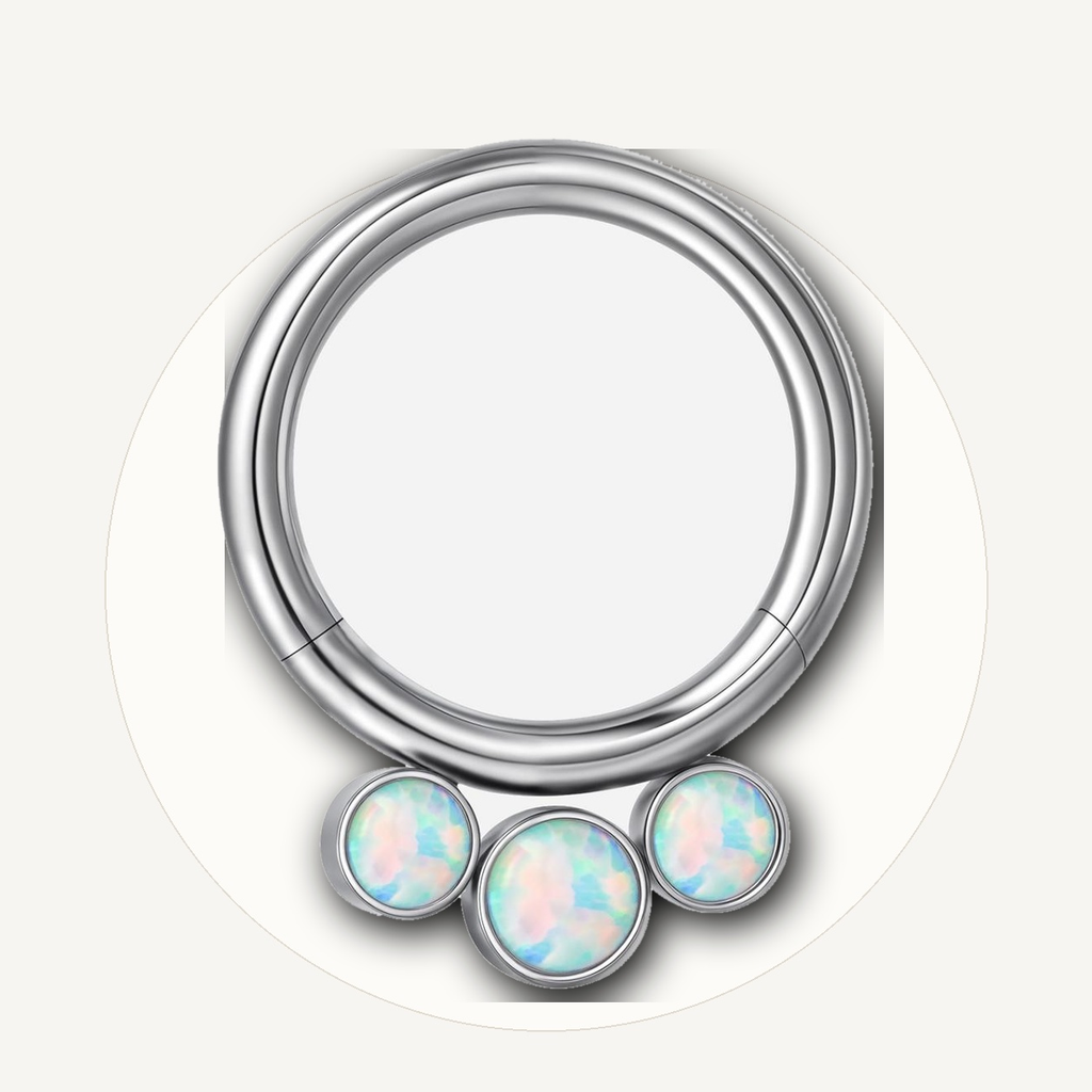 Implant Grade Titanium - Segment Ring - Silver - OP17 - 16G (1.2 x 8 mm) - styling view