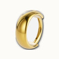 Implant Grade Titanium - Segment Ring - Gold - 16G (1.2 x 12 mm) - product view