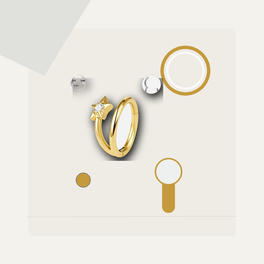 Implant Grade Titanium - Segment Ring - Gold - Clear CZ - 16G (1.2 x 8 mm) - styling view