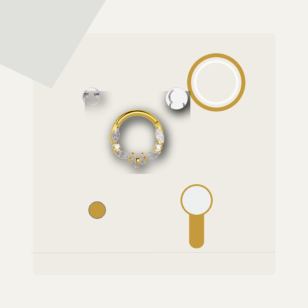 Implant Grade Titanium - Segment Ring - Gold - Clear CZ - 16G (1.2 x 8 mm) - styling view