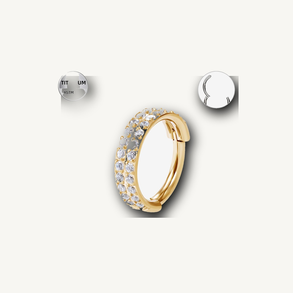 Implant Grade Titanium - Segment Ring - Gold - Clear CZ - 16G (1.2 x 8 mm) - detail view
