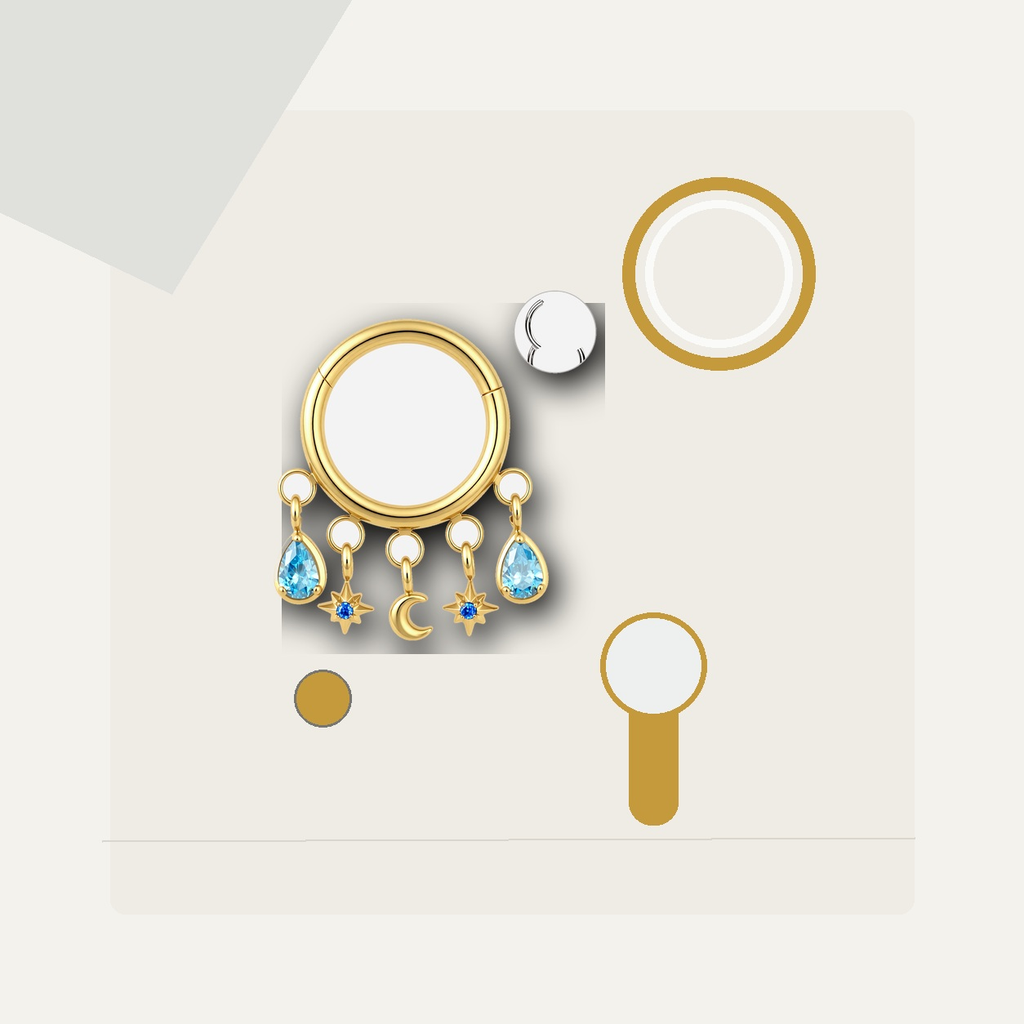 Implant Grade Titanium - Segment Ring - Gold - NBL - 16G (1.2 x 8 mm) - styling view