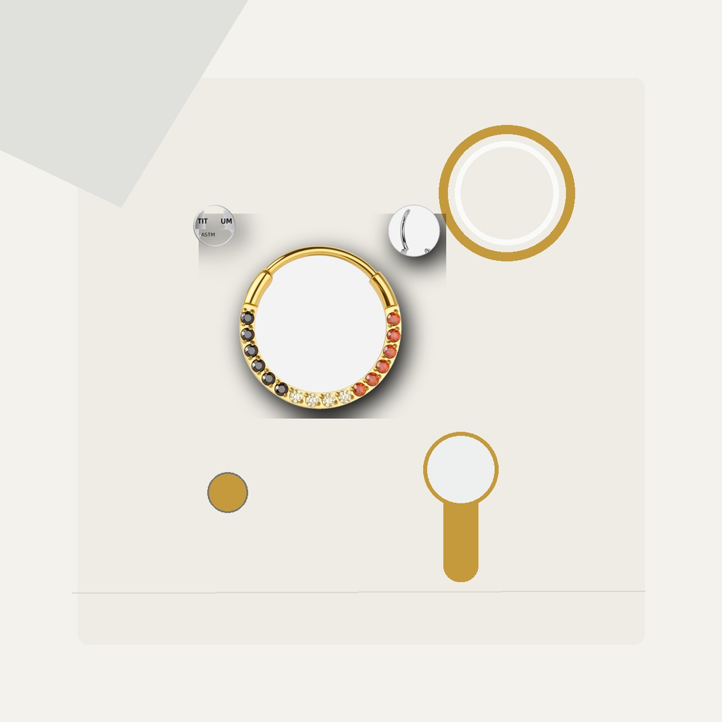 Implant Grade Titanium - Segment Ring - Gold - GDCZ - 20G (0.8 x 10 mm) - styling view