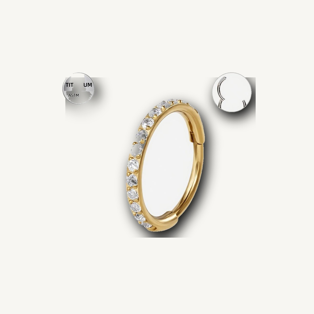 Implant Grade Titanium - Segment Ring - Gold - Clear CZ - 20G (0.8 x 7 mm) - detail view