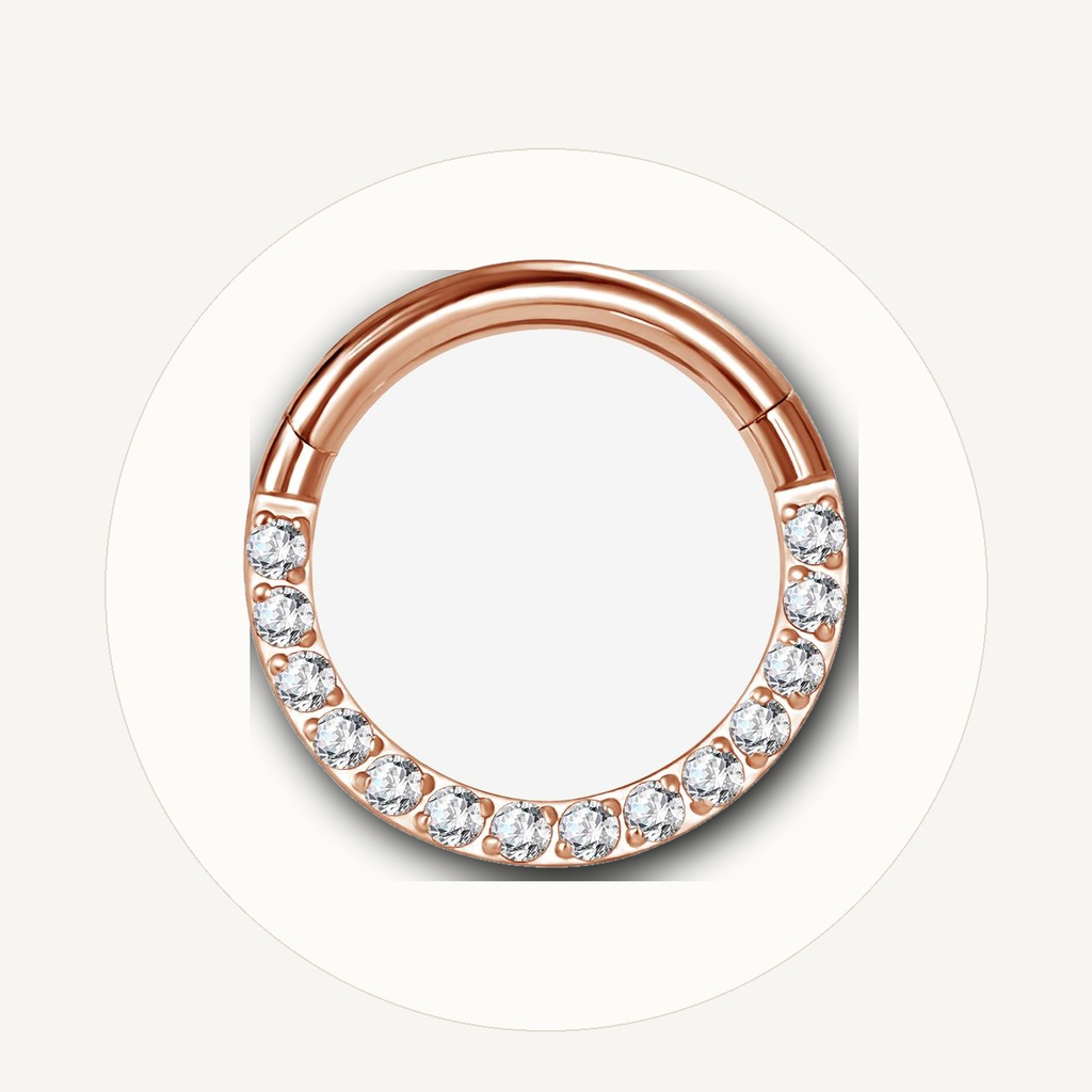 Implant Grade Titanium - Segment Ring - Rose Gold - Clear CZ - 16G (1.2 x 6 mm) - styling view