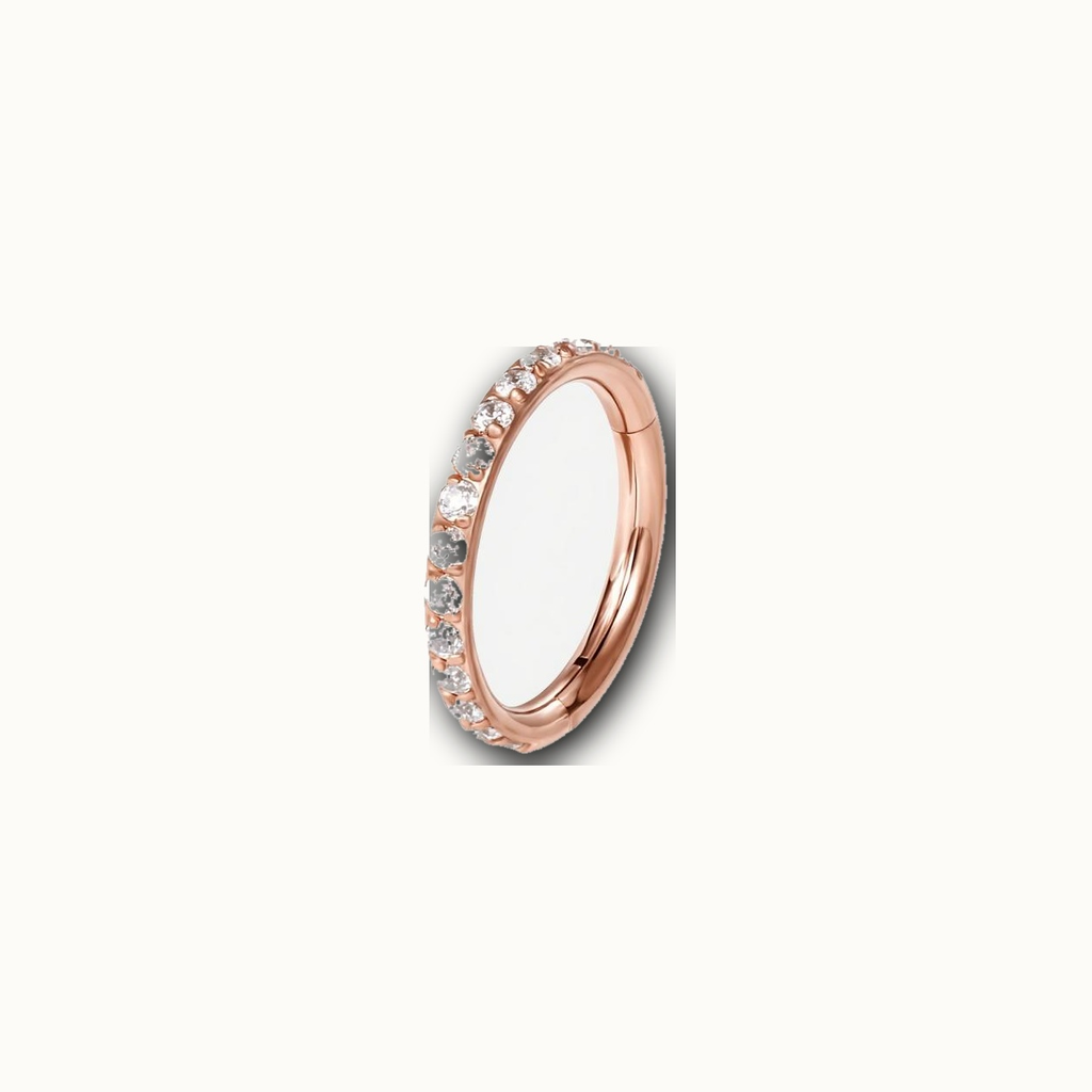 Implant Grade Titanium - Segment Ring - Rose Gold - Clear CZ - 16G (1.2 x 6 mm) - product view