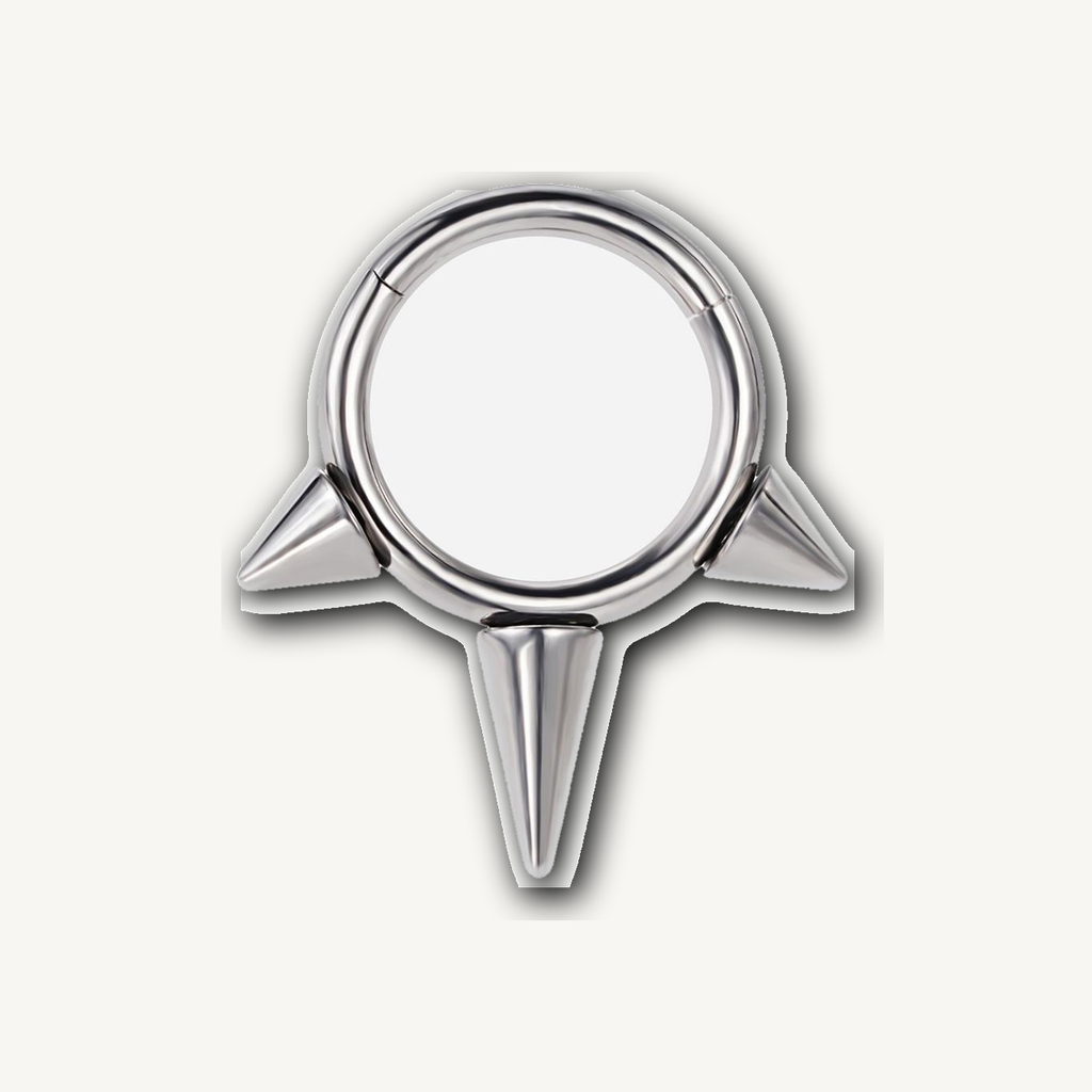 Implant Grade Titanium - Segment Ring - Silver - 14G (1.6 x 8 mm) - detail view
