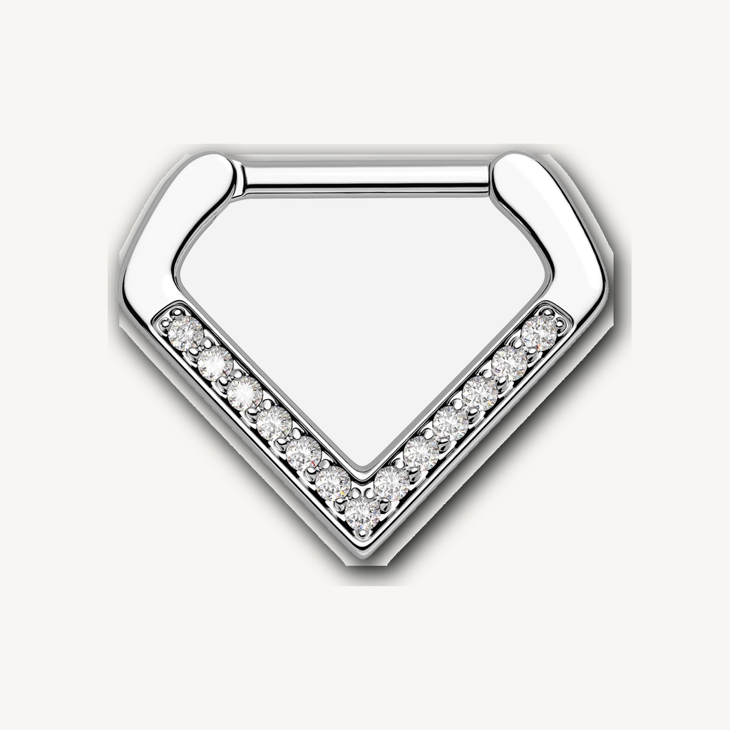 Implant Grade Titanium - Segment Ring - Silver - Clear CZ - 16G (1.2 x 10 mm) - product view