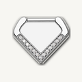 Implant Grade Titanium - Segment Ring - Silver - Clear CZ - 16G (1.2 x 10 mm) - product view