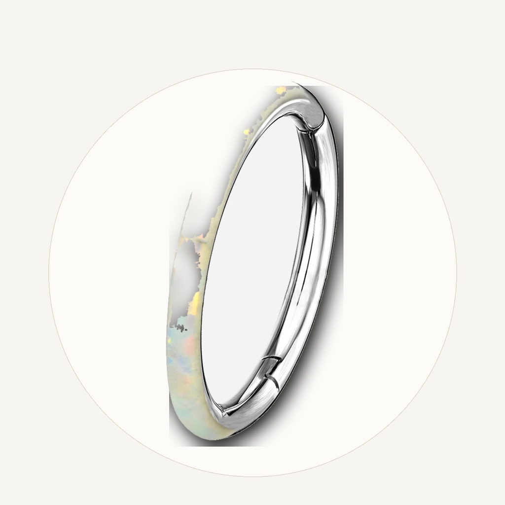 Implant Grade Titanium - Segment Ring - Silver - OP17 - 16G (1.2 x 6 mm) - styling view