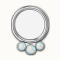 Implant Grade Titanium - Segment Ring - Silver - OP17 - 16G (1.2 x 8 mm) - product view
