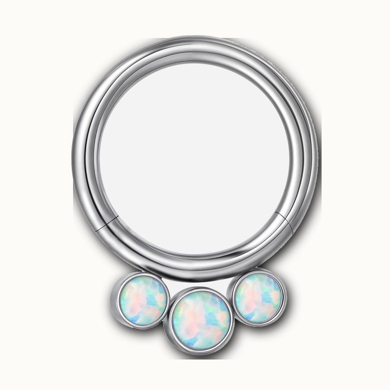 Implant Grade Titanium - Segment Ring - Silver - OP17 - 16G (1.2 x 8 mm) - product view