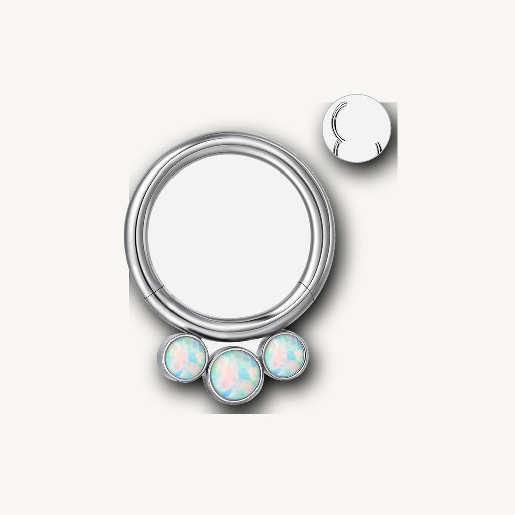 Implant Grade Titanium - Segment Ring - Silver - OP17 - 16G (1.2 x 8 mm) - detail view