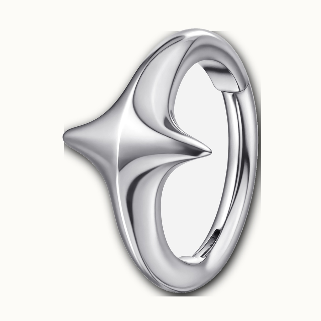 Implant Grade Titanium - Segment Ring - Silver - 16G (1.2 x 8 mm) - product view