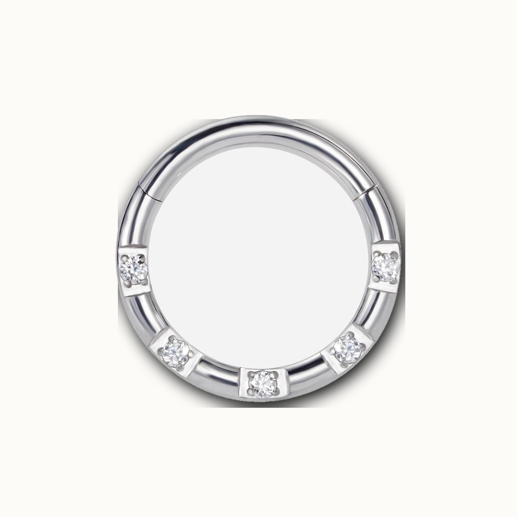 Implant Grade Titanium - Segment Ring - White Gold - Clear CZ - 16G (1.2 x 8 mm) - product view