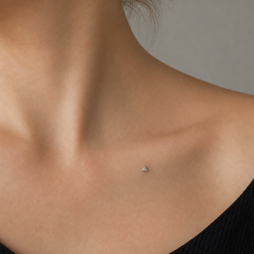 [TOPOSH-ROLE-ORDER-CLEANUP-20260717-BATCH08:TP-DM-IN-SIL-14G2-PLN-012:02] Titanium Dermal Top – Silver | 02_model_white