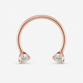 [TOPOSH-ROLE-ORDER-CLEANUP-20260717-BATCH09:TP-HS-TH-RG-18G8-ABCZ-450:01] Aurora CZ Titanium Horseshoe Ring – Rose Gold, 8mm | 01_primary_product_bg