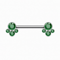 [TOPOSH-FULLSCORE-V7-20260712:TP-NP-IN-SIL-14G14-GRCZ-028:01] Implant Grade Titanium - Nipple Ring - Silver - GRCZ - 14G (1.6 x 14 mm) - primary product