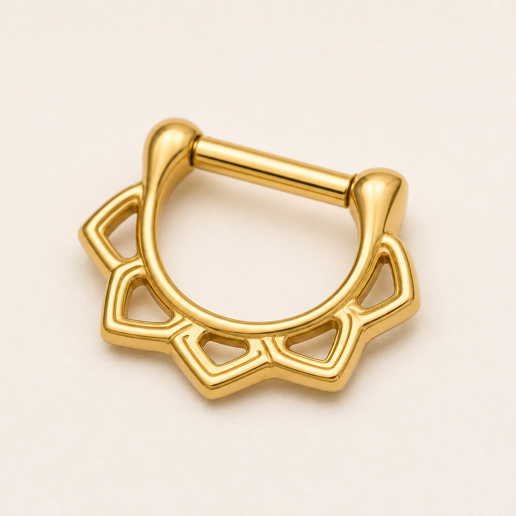 [TOPOSH-ROLE-ORDER-CLEANUP-20260717-BATCH18:TP-SEP-GD-16G6-PLN-009:05] Titanium Septum Ring – Gold | 05_product_angles