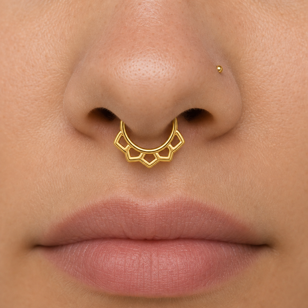 [TOPOSH-ROLE-ORDER-CLEANUP-20260717-BATCH18:TP-SEP-GD-16G6-PLN-009:02] Titanium Septum Ring – Gold | 02_model_white