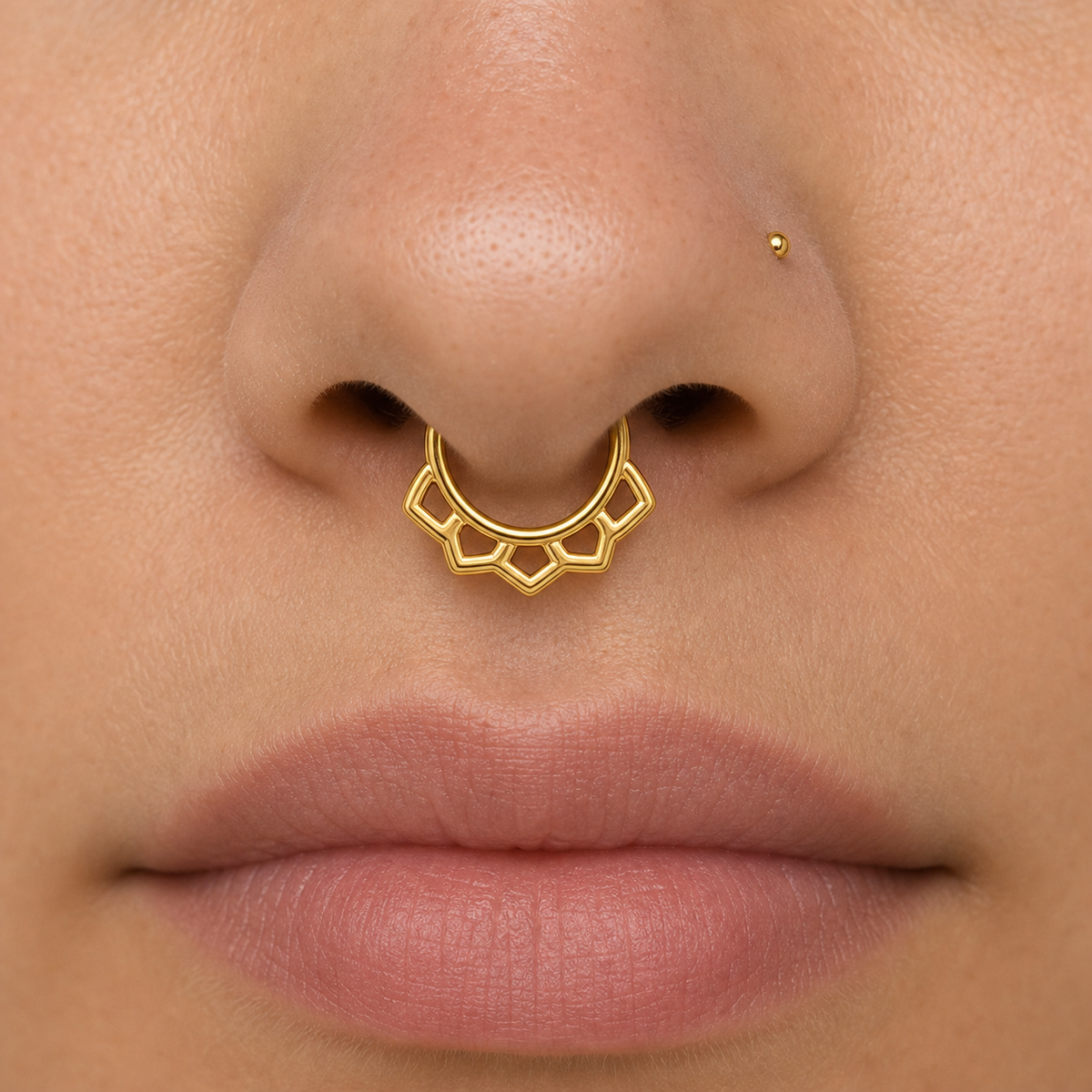 [TOPOSH-ROLE-ORDER-CLEANUP-20260717-BATCH18:TP-SEP-GD-16G6-PLN-009:02] Titanium Septum Ring – Gold | 02_model_white
