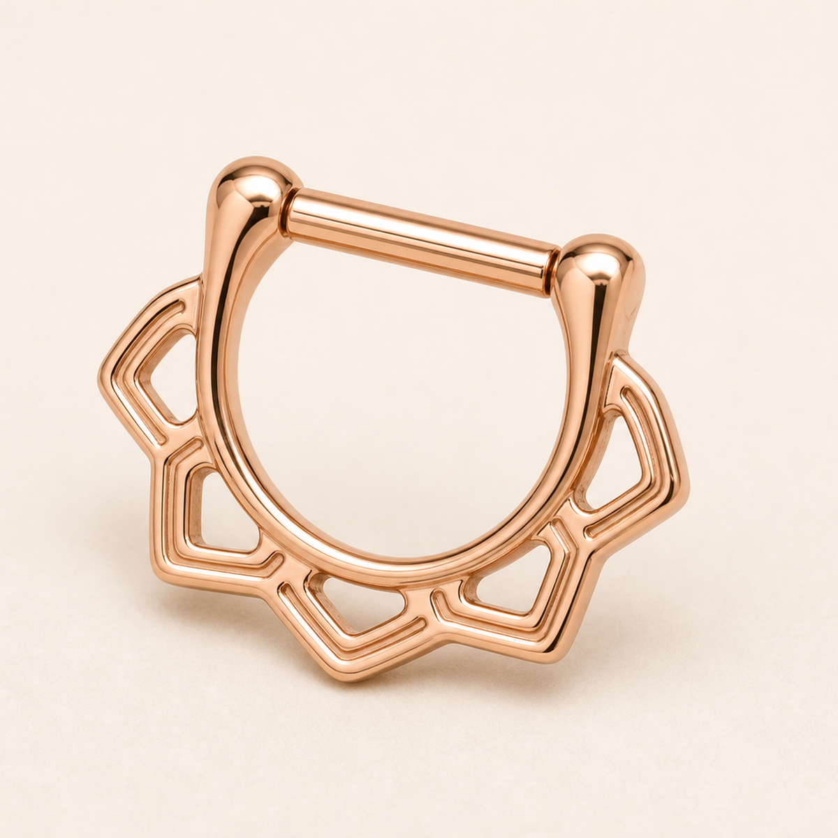 [TOPOSH-ROLE-ORDER-CLEANUP-20260717-BATCH18:TP-SEP-RG-16G6-PLN-010:05] Titanium Septum Ring – Rose Gold | 05_product_angles