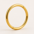 [TOPOSH-ROLE-ORDER-CLEANUP-20260717-BATCH19:TP-SR-GD-16G12-PLN-1260:01] Titanium Segment Ring – Gold, 12mm | 01_primary_product_bg