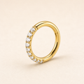 [TOPOSH-ROLE-ORDER-CLEANUP-20260717-BATCH23:TP-SR-GD-16G6-CLCZ-976:01] Pavé Clear CZ Titanium Segment Ring – Gold, 6mm | 01_primary_product_bg