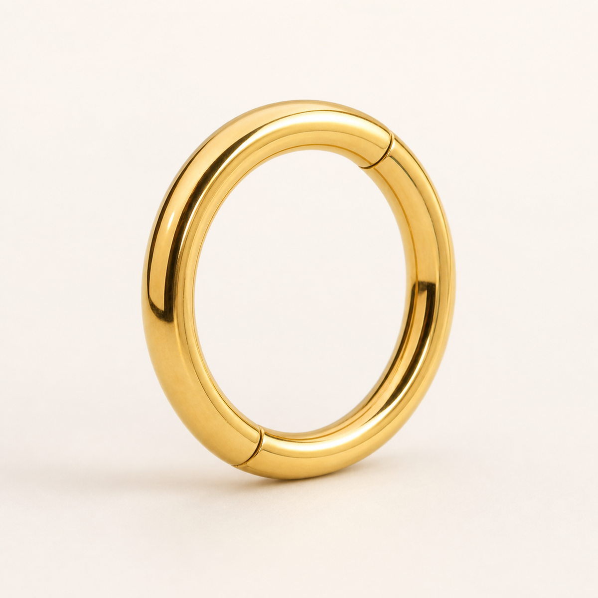 [TOPOSH-ROLE-ORDER-CLEANUP-20260717-BATCH19:TP-SR-GD-16G8-PLN-1279:01] Titanium Segment Ring – Gold, 8mm | 01_primary_product_bg