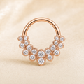 [TOPOSH-ROLE-ORDER-CLEANUP-20260717-BATCH21:TP-SR-RG-16G8-CLCZ-RG1105:01] Cluster Clear CZ Titanium Segment Ring – Rose Gold | 01_primary_product_bg