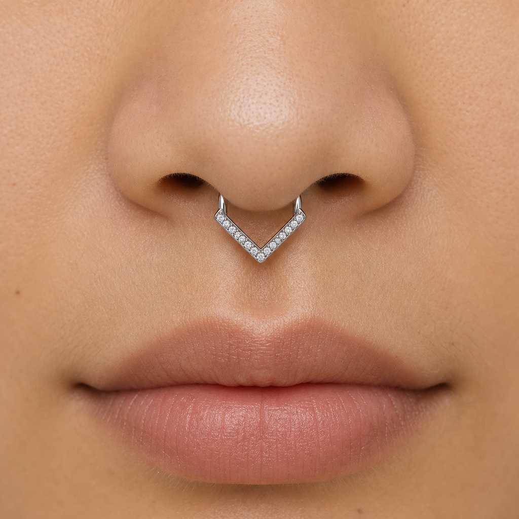 [TOPOSH-ROLE-ORDER-CLEANUP-20260717-BATCH25:TP-SR-SIL-16G10-CLCZ-003:04] V-Set Clear CZ Titanium Segment Ring – Silver | 04_model_asian