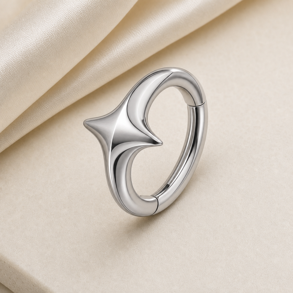 [TOPOSH-ROLE-ORDER-CLEANUP-20260717-BATCH24:TP-SR-SIL-16G8-PLN-1644:05] Spike Titanium Segment Ring – Silver | 05_product_angles