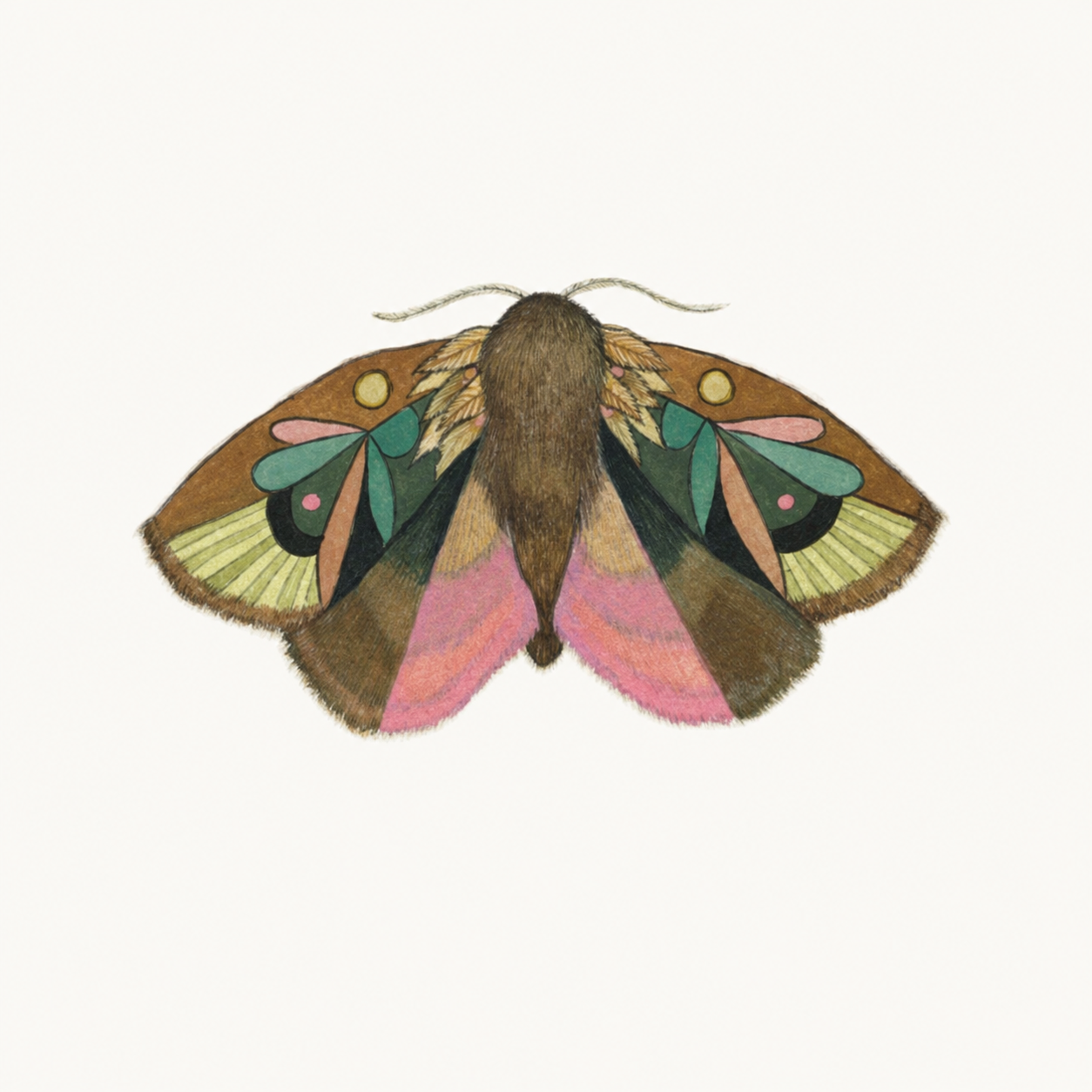 Earthy Geometric Moth flash tattoo design by Zero