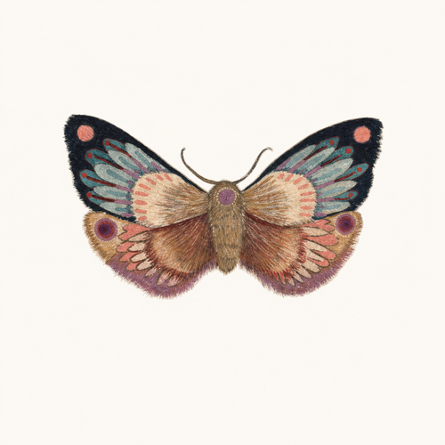 Blue & Blush Moth flash tattoo design by Zero